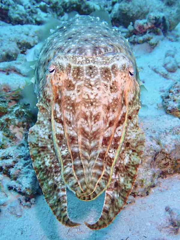 %e5%86%99%e7%9c%9f-2025-11-17-9-22-28ss