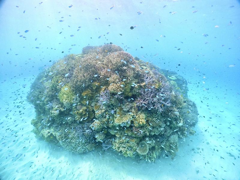 %e5%86%99%e7%9c%9f-2025-09-21-14-59-25s