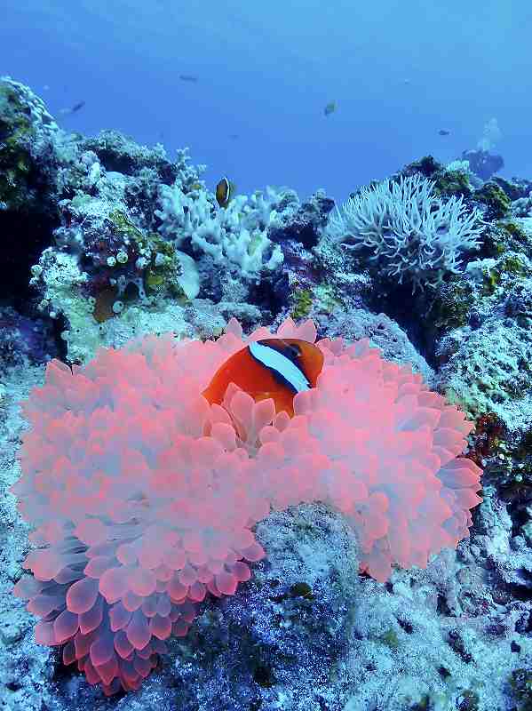 %e5%86%99%e7%9c%9f-2025-11-01-14-54-36ss