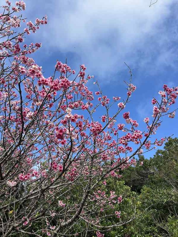 52e63ef3-fe2e-47a0-bd8d-cb24a8633cb4s